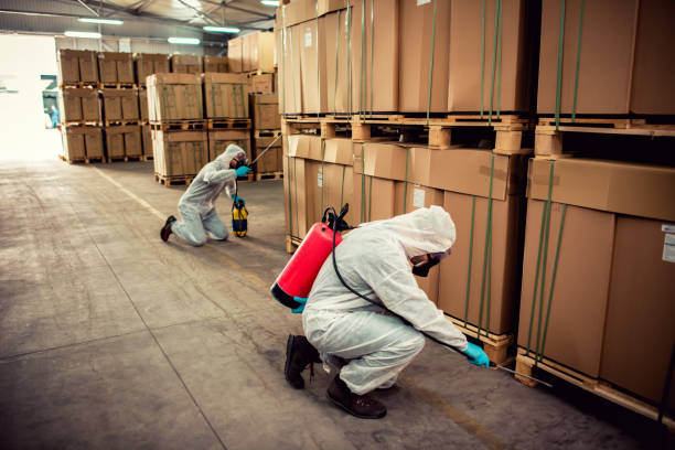 Best Pest Prevention Services  in Sebring, FL