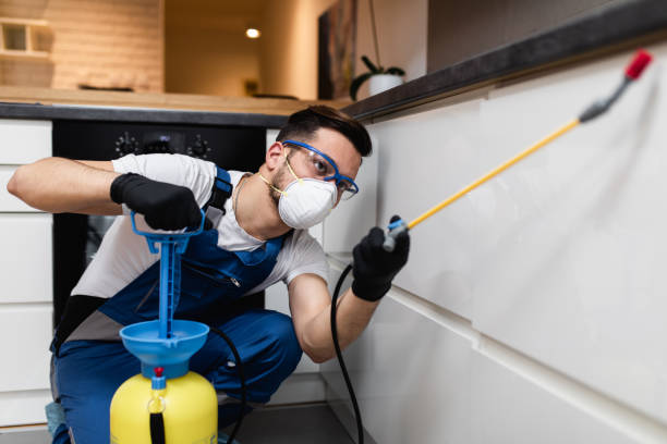 Best Best Pest Control Companies  in Sebring, FL