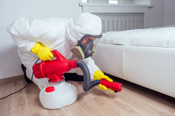 Best Wasp Removal Services  in Sebring, FL